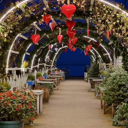 Nadmorski Piastowska *