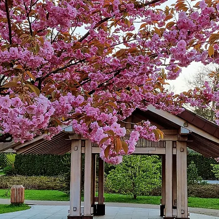 Nadmorski Piastowska Apartment