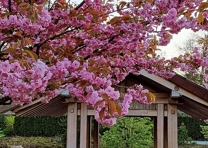 Nadmorski Piastowska Apartman